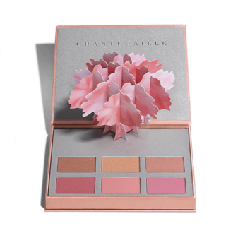 L’Arbre Illuminé Palette 