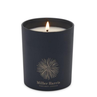 Cassis en Feuille Candle