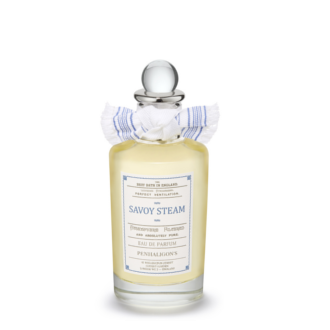 SAVOY STEAM