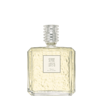 Fleurs de citronnier