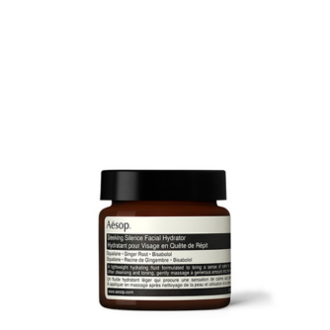 Seeking Silence Facial Hydrator