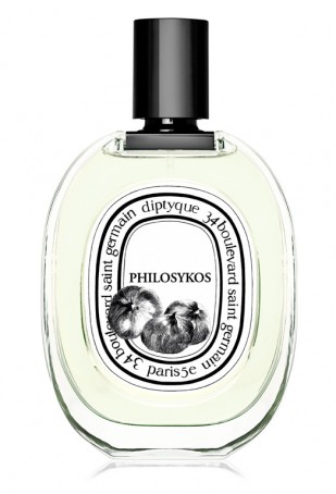 Philosykos
