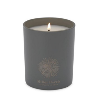 Petal Storm - candle 