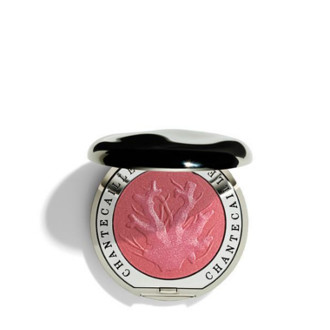 Philanthropy Cheek Color - Coral (Laughter) 