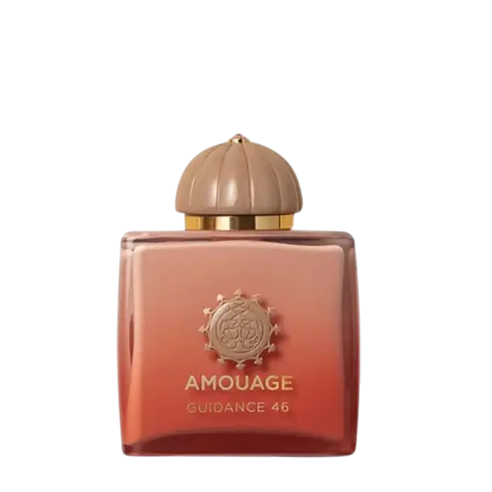 GUIDANCE 46  EXCEPTIONAL EXTRAIT