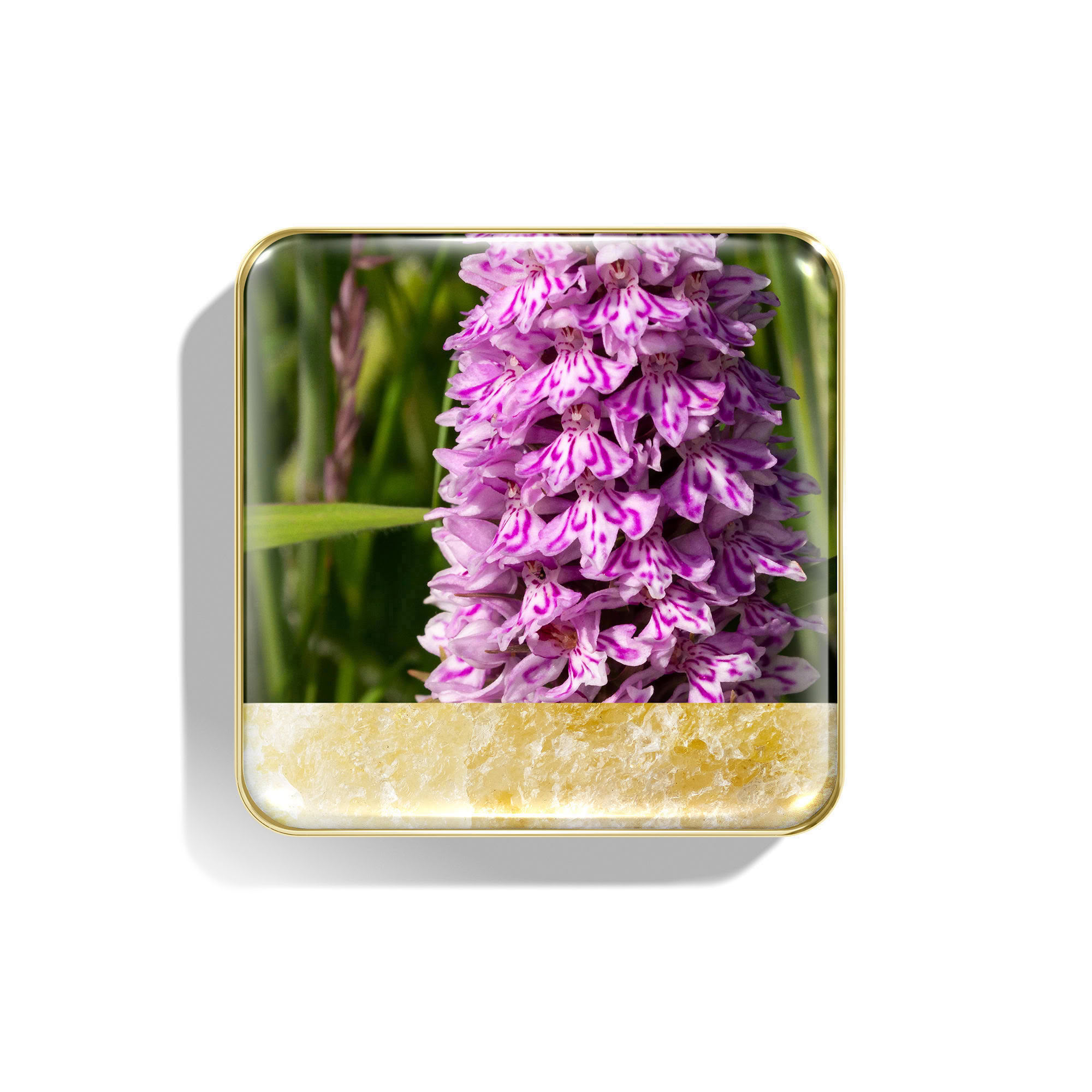 Wild Meadows Eye Quartet ORIGINAL PRICE € 73,00 - 50%