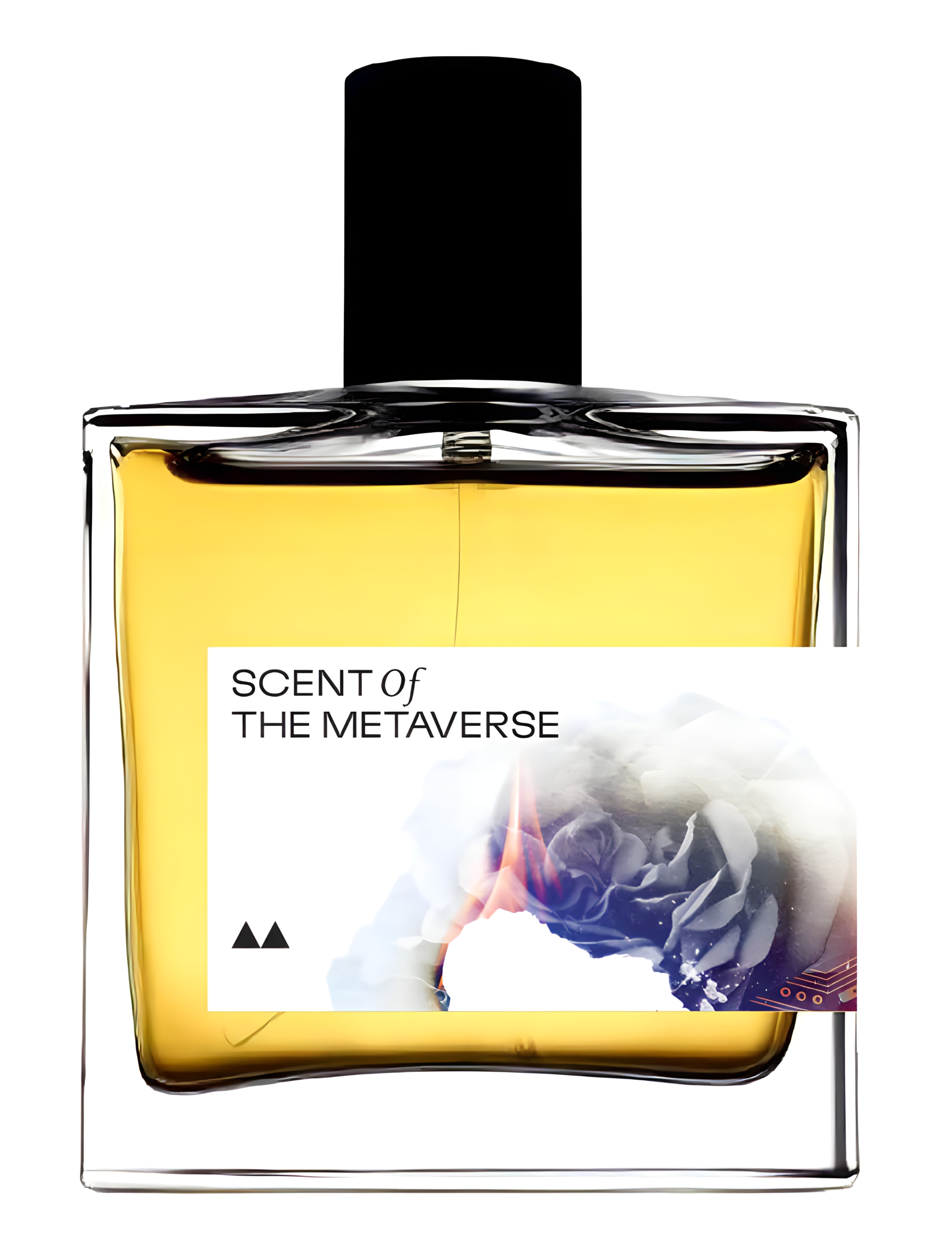 THE SCENT OF THE METAVERSE