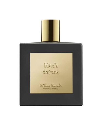 Black Datura