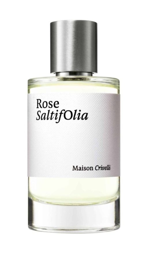 Rose Saltifolia